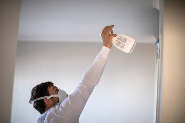 Best Black Mold Removal  in Sandy, OR