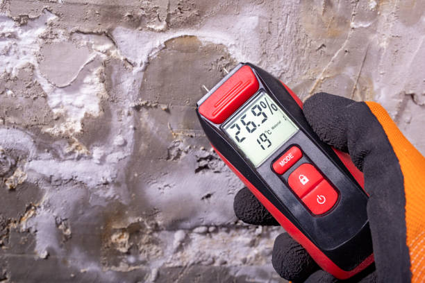 Best Mold Remediation  in Sandy, OR