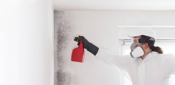 Best Mold Damage Repair  in Sandy, OR